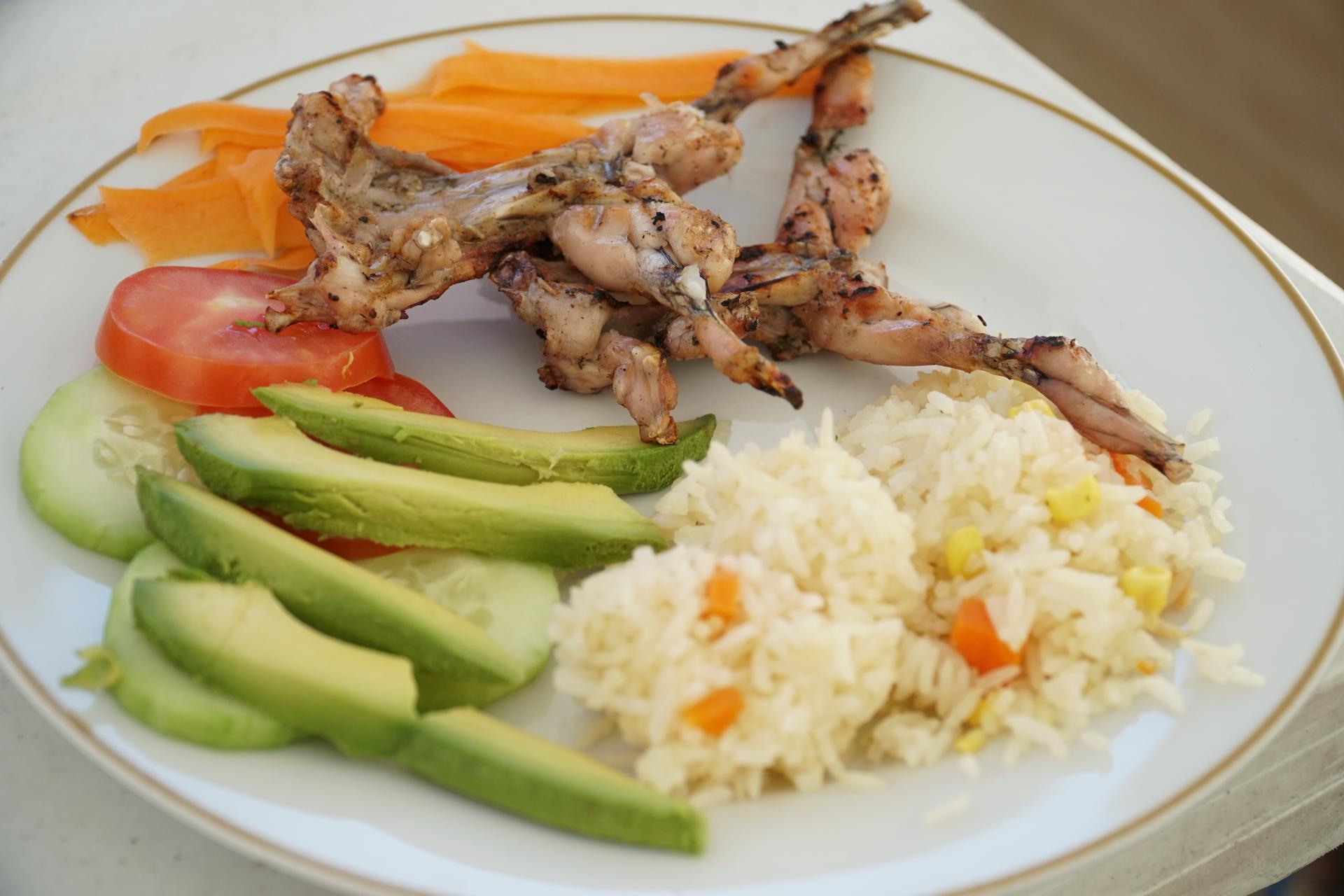 Grilled frog, served with rice, tomato, cucumber and carrots, prepared in Santiago Textitlan, Mexico, on 10 March 2023. EFE/Daniel Ricardez