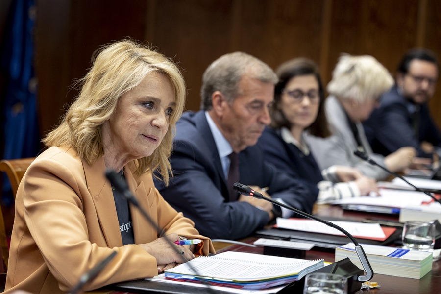 Comparecencia de la  presidenta interina del Consejo de Administración de la Corporación RTVE, Elena Sánchez, hoy en el Senado en Madrid. 