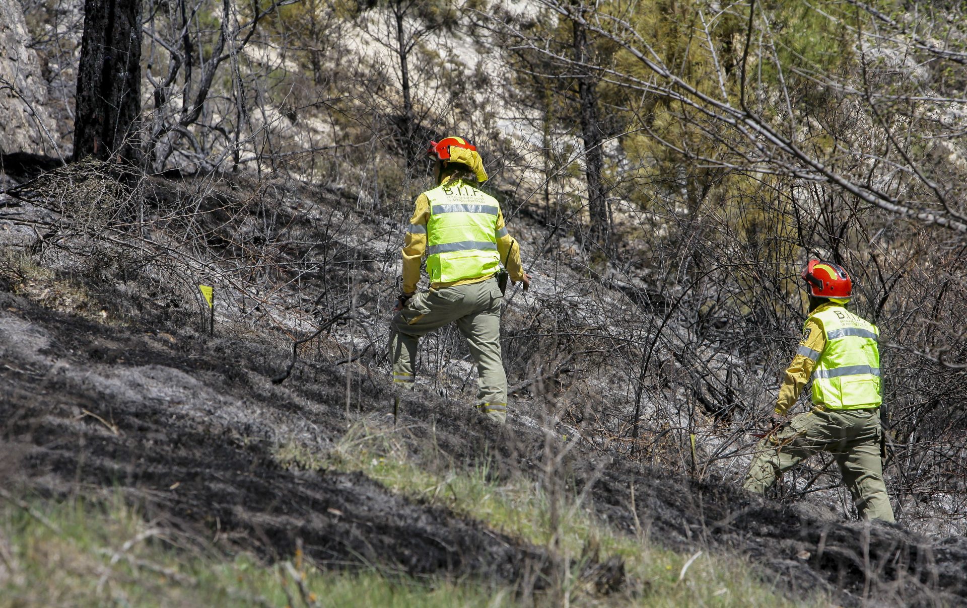 El DOCM publica las limitaciones vigentes para prevenir incendios forestales