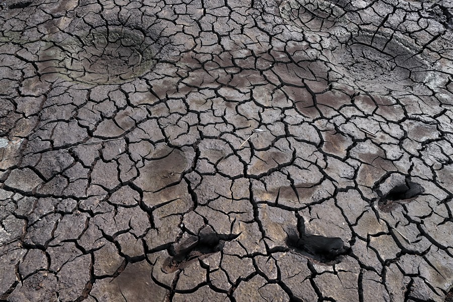 Imagen de archivo de una tierra seca por la escasez de lluvias. Hoy se celebra el Día de la Tierra
