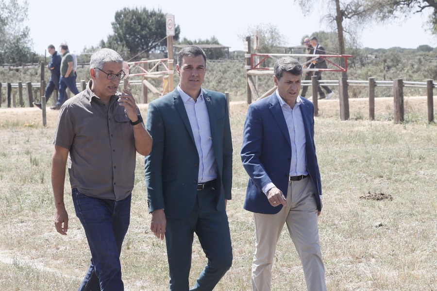 Pedro Sánchez pide a la Junta de Andalucía abandonar "posturas soberbias" en Doñana