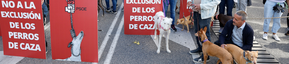 Manifestación a favor de la Protección animal