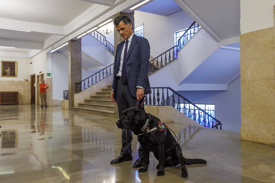 El magistrado de la Sección Tercera de la Audiencia Provincial de Sevilla Luis Gonzaga de Oro-Pulido, posa con el perro guía de raza Labrador, Pusky.