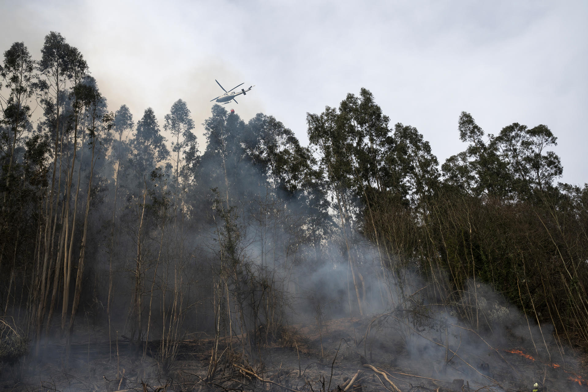 Imagen de archivo de los bomberos del Gobierno de Cantabria durante los trabajos de extinción de un incendio forestal. EFE/Pedro Puente Hoyos