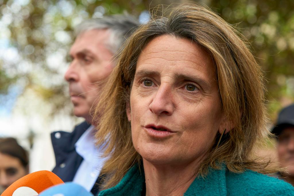The Minister of Ecological Transition, Teresa Ribera. 
