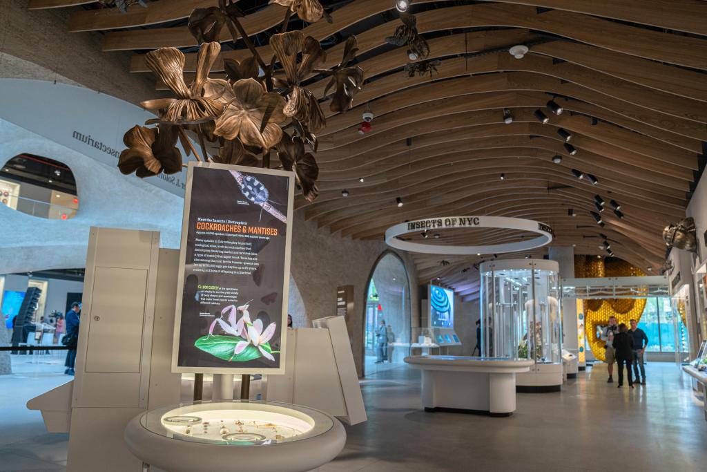 Personas visitan hoy la sala del Insectario de la familia Susan y Peter J. Solomon en el Centro Richard Gilder para la Ciencia, la Educación y la Innovación del Museo Americano de Historia Natural (AMNH) en Nueva York. EFE/Ángel Colmenares
