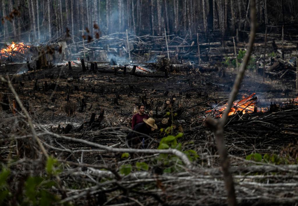 Personas prenden fuego en un área boscosa en Careiro Castanho, Amazonas (Brasil), en una fotografía de archivo. EFE/Raphael Alves
