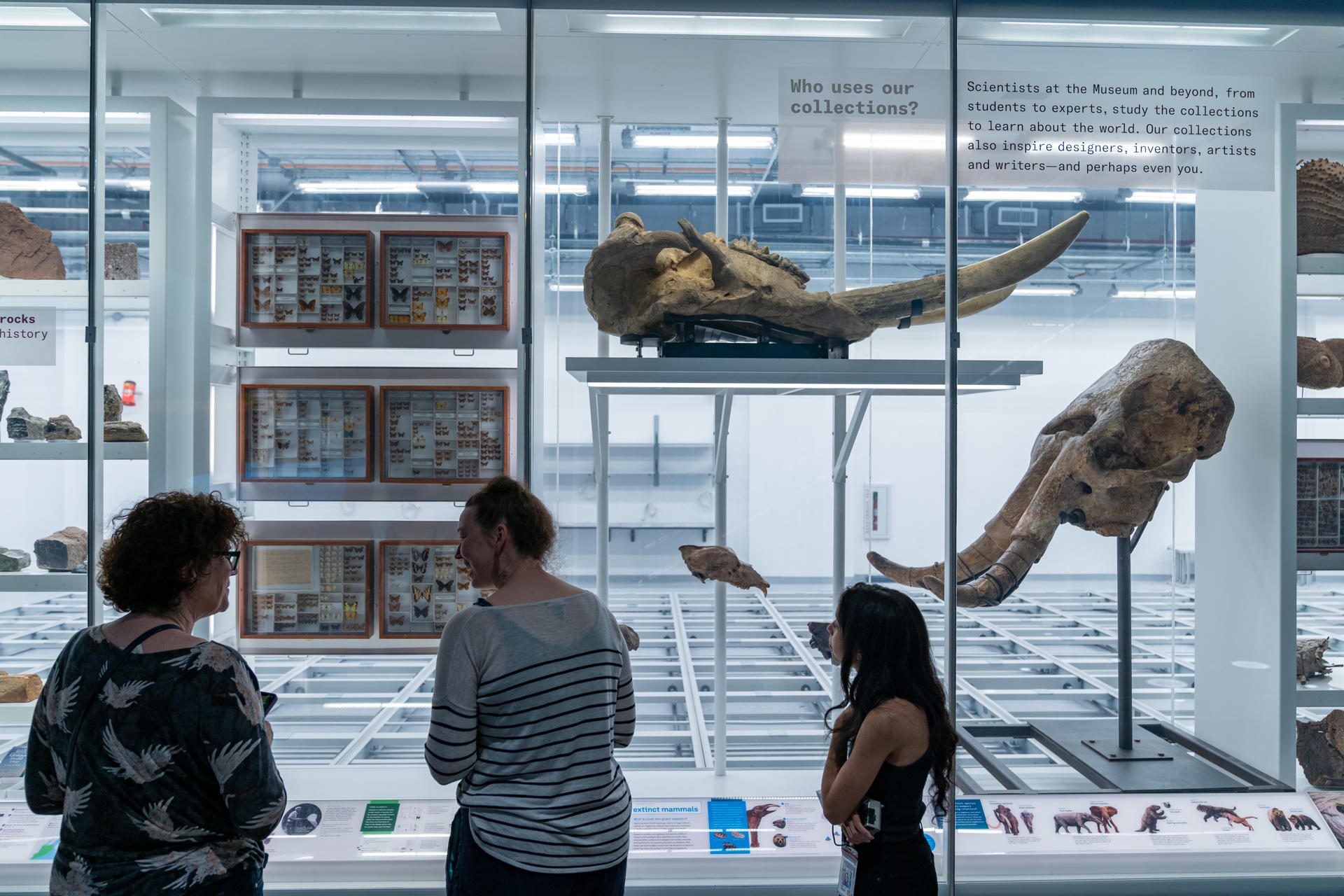 Unas personas visitan hoy la sala de la colección de Louis V. Gerstner, Jr. en el Centro Richard Gilder para la Ciencia, la Educación y la Innovación del Museo Americano de Historia Natural (AMNH) en Nueva York. EFE/Ángel Colmenares