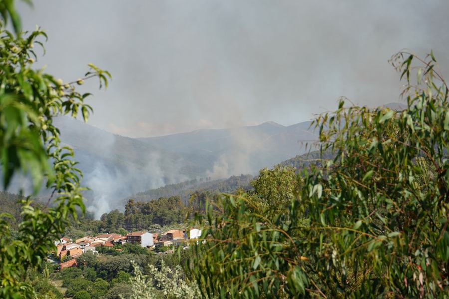 El viento dificulta las labores de extinción en el incendio de Pinofranqueado (Cáceres)