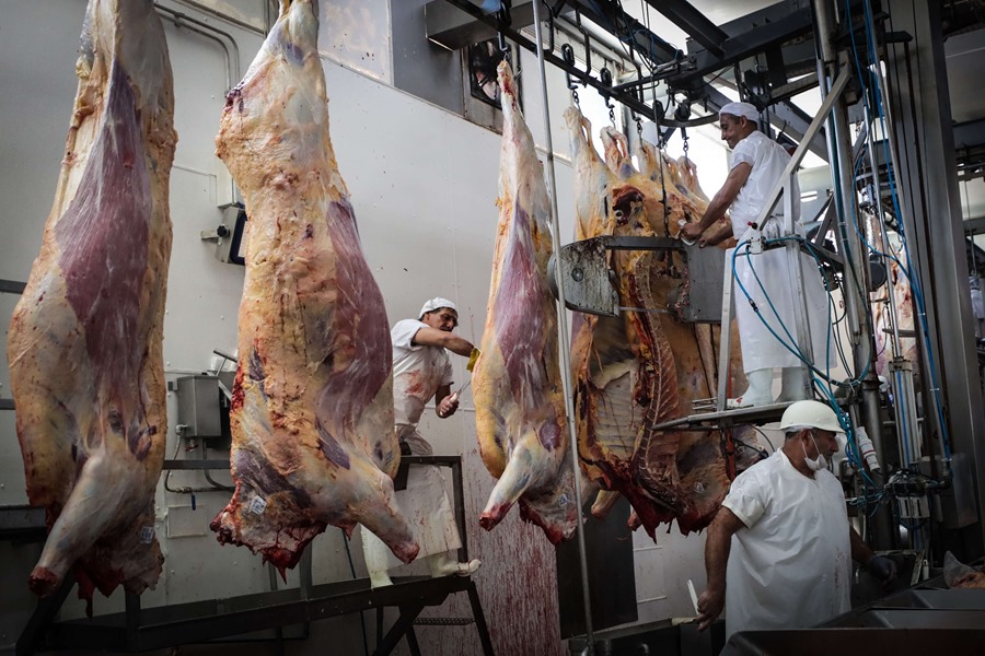 Workers in a slaughterhouse.