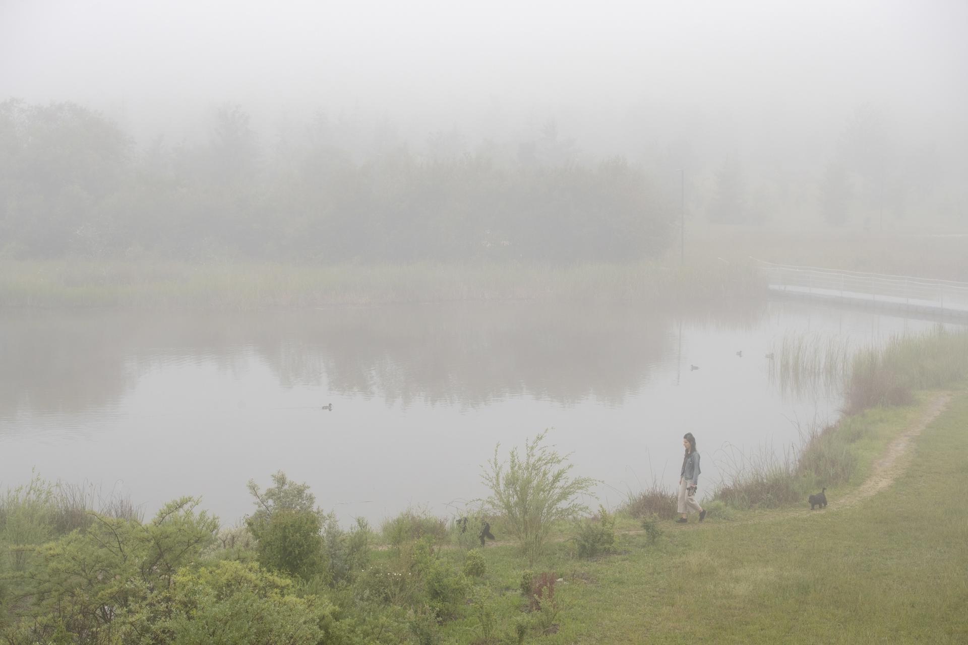 Una mujer pasea con sus perros en el jardín botánico de Olarizu, en Vitoria, ciudad que amanece este miércoles cubierta por una espesa niebla. EFE/David Aguilar
