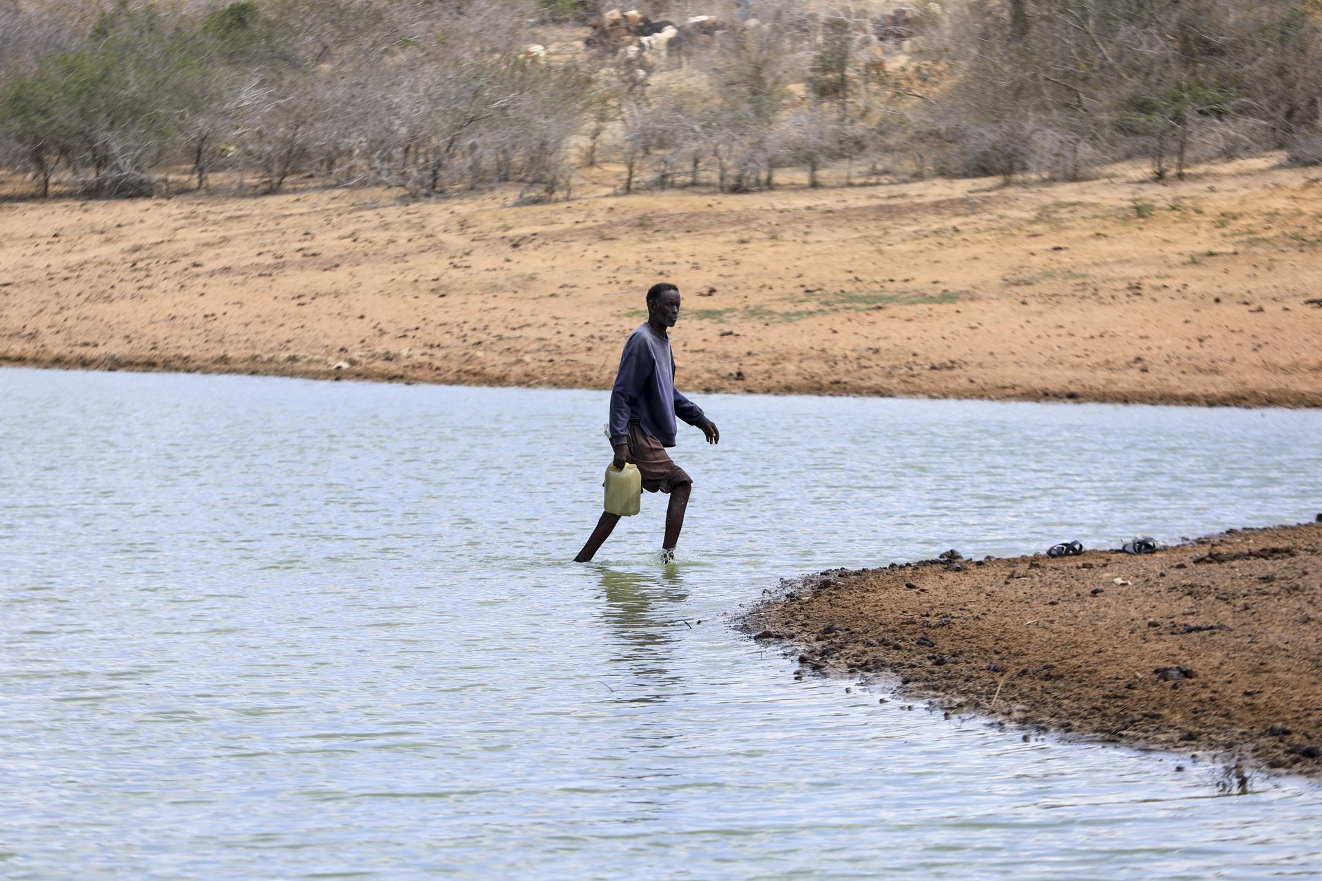 A man (C) fetches his drinking water after his emaciated cattles drunk water from one of the few water pans left with water in the drought-stricken region of Kwangite, in Ganze, in Kilifi County, 07 October 2021. EFE/EPA/Daniel Irungu
