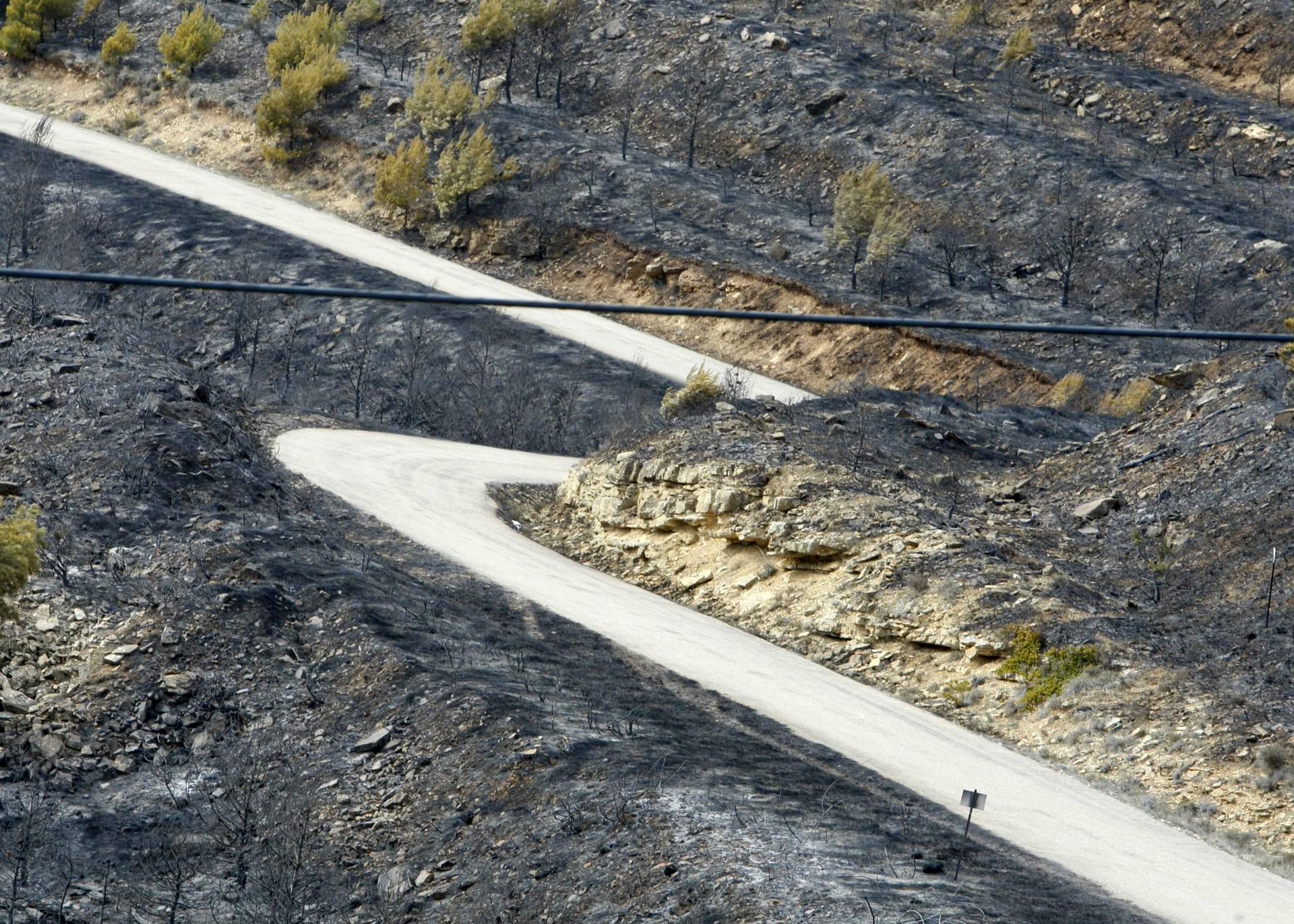 Imagen de archivo de otro incendio en una zona forestal de Sos del Rey Católico. EFE/Javier Cebollada