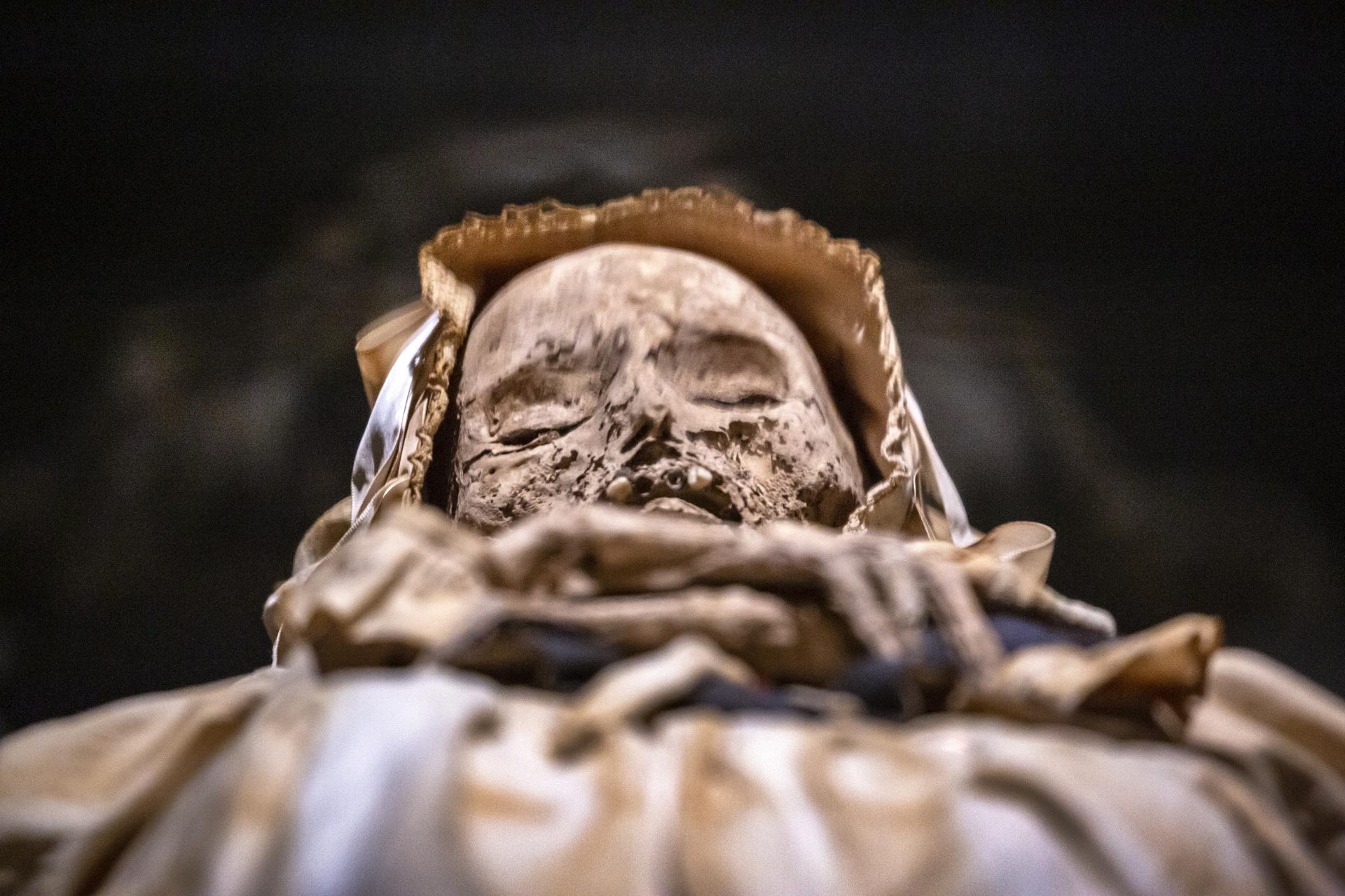 Secrets of world's mummies laid bare at Miami exposition - Vimarsana News