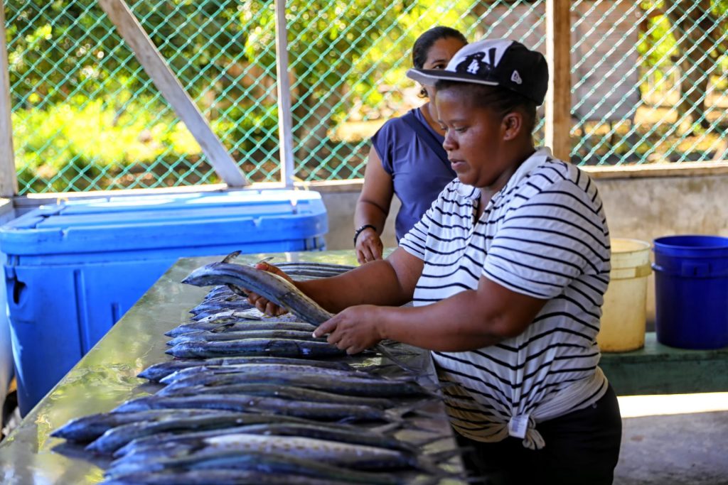 Indígenas de la etnia Miskita limpian pescados, el 24 de mayo de 2023, en un mercado de la comunidad de Yahurabila (Honduras). EFE/Gustavo Amador