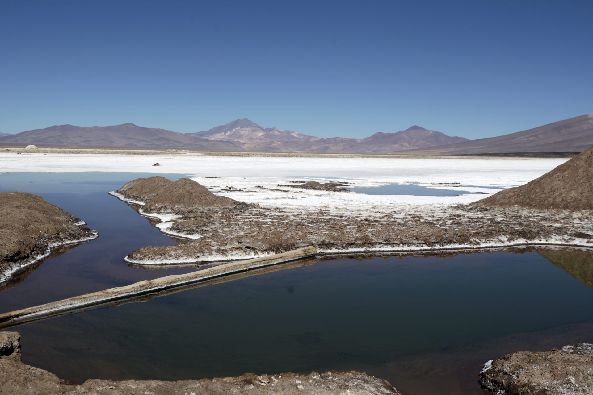 Fotografía del salar de Maricunga, el 6 de junio 2023 en la ciudad de Copiapó (Chile). EFE/Javier Martín