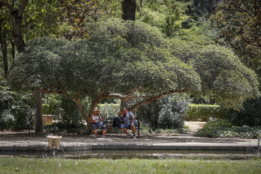 Una pareja de personas mayores se refugian bajo una sombre en el parque de María Luisa