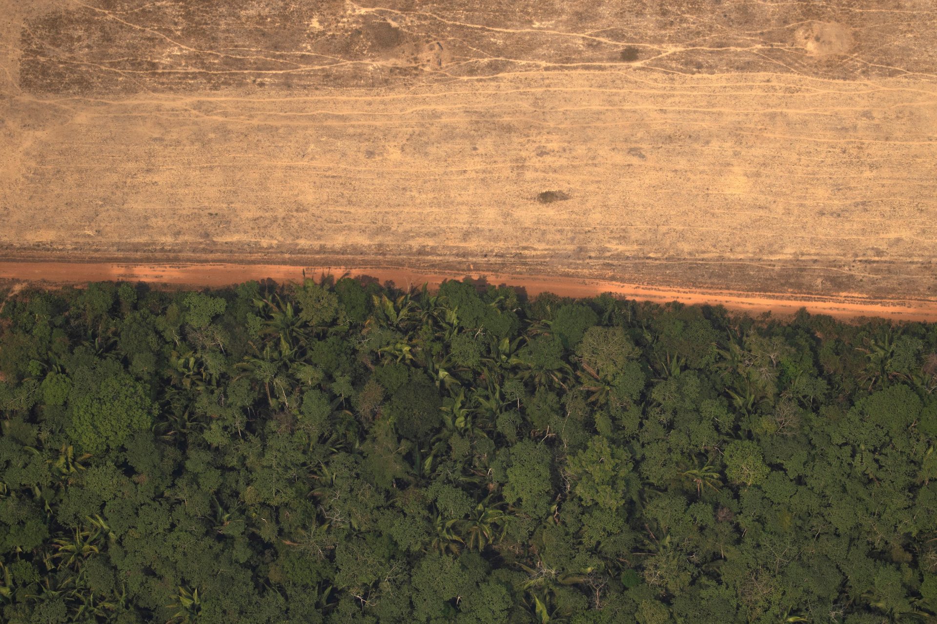 Vista aérea de áreas deforestadas de la selva amazónica, en Porto Velho, Rondonia (Brasil). EFE/Joédson Alves