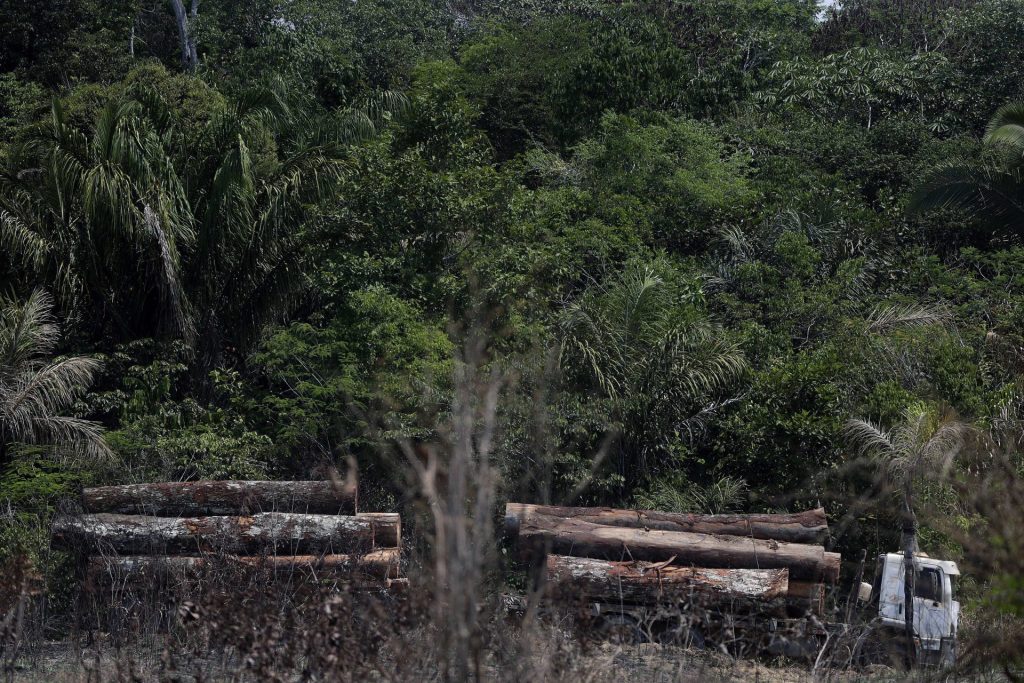 Vista de camión que transporta madera obtenida ilegalmente en la selva amazónica, cerca de la ciudad de Apuí, al sur del estado de Amazonas. EFE/Fernando Bizerra