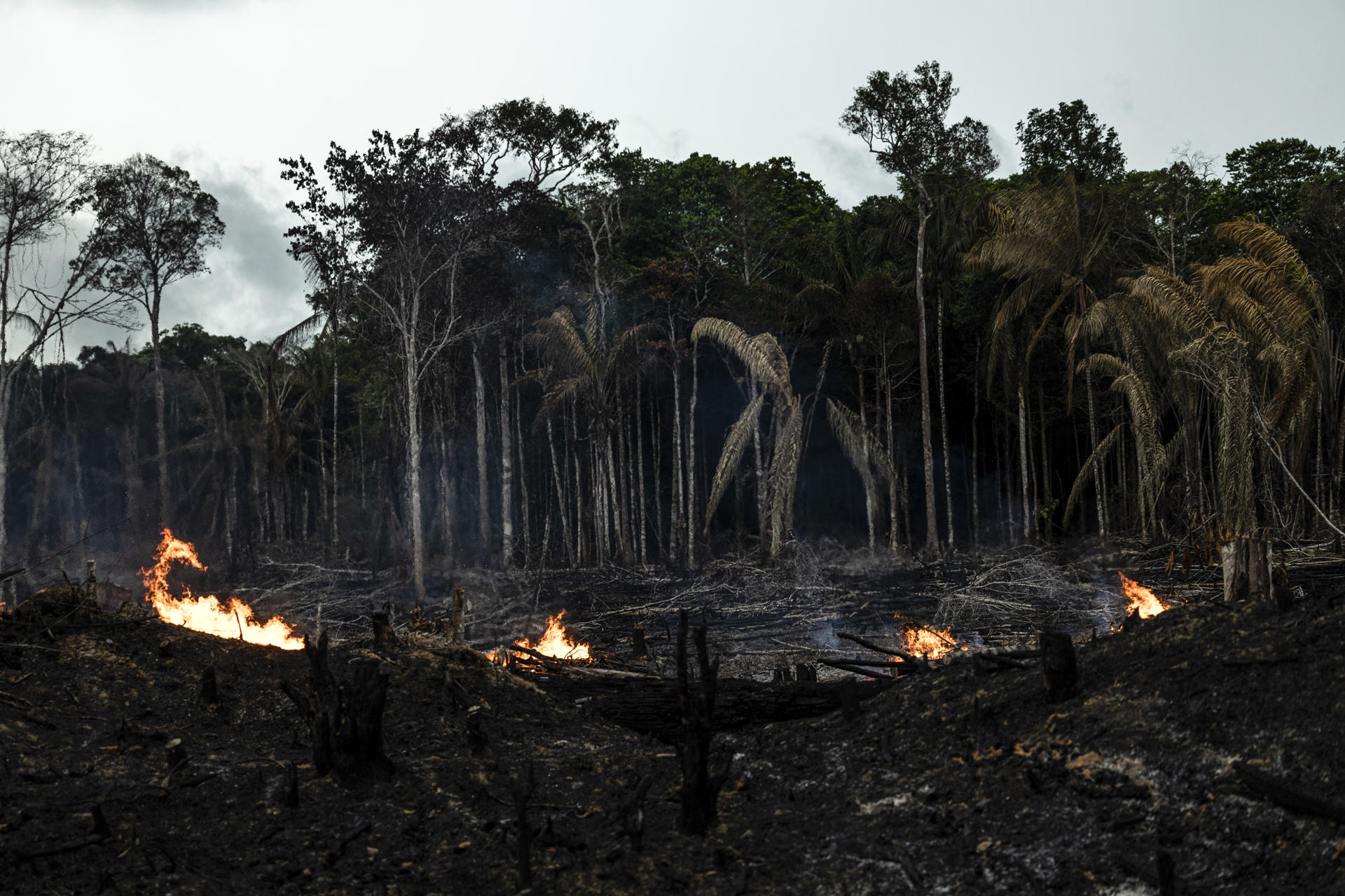 Vista de incendios en Careiro da Várzea, en el estado de Amazonas (Brasil), en una fotografía de archivo. EFE/Raphael Alves