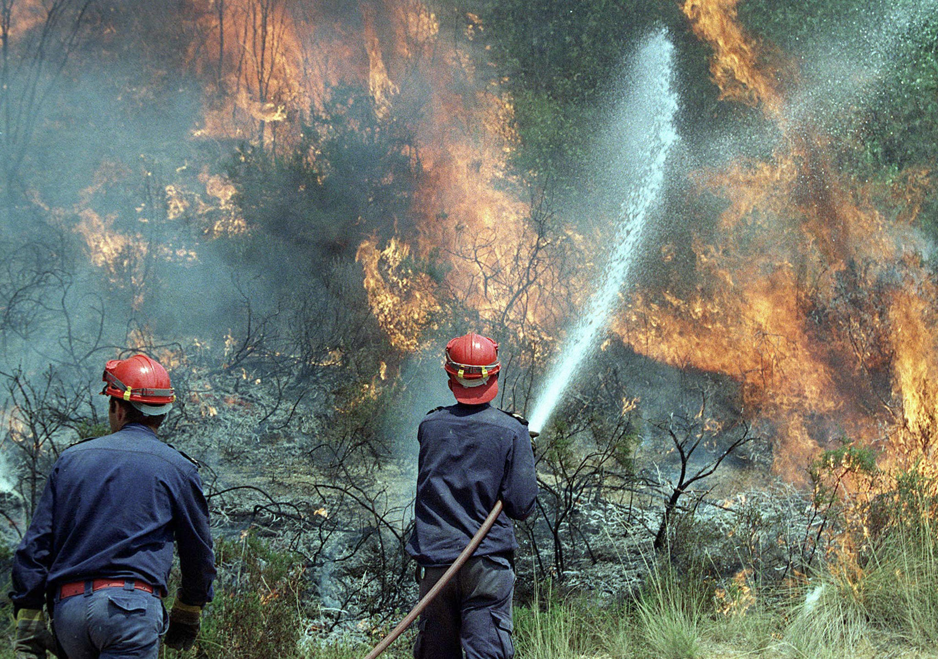 A file photo shows firemen attempting to douse a huge blaze burning through forests in Santarem, Portugal, 9 August 2000. EPA-FILE/PHOTO LUSA/ANTONIO COTRIM/BW