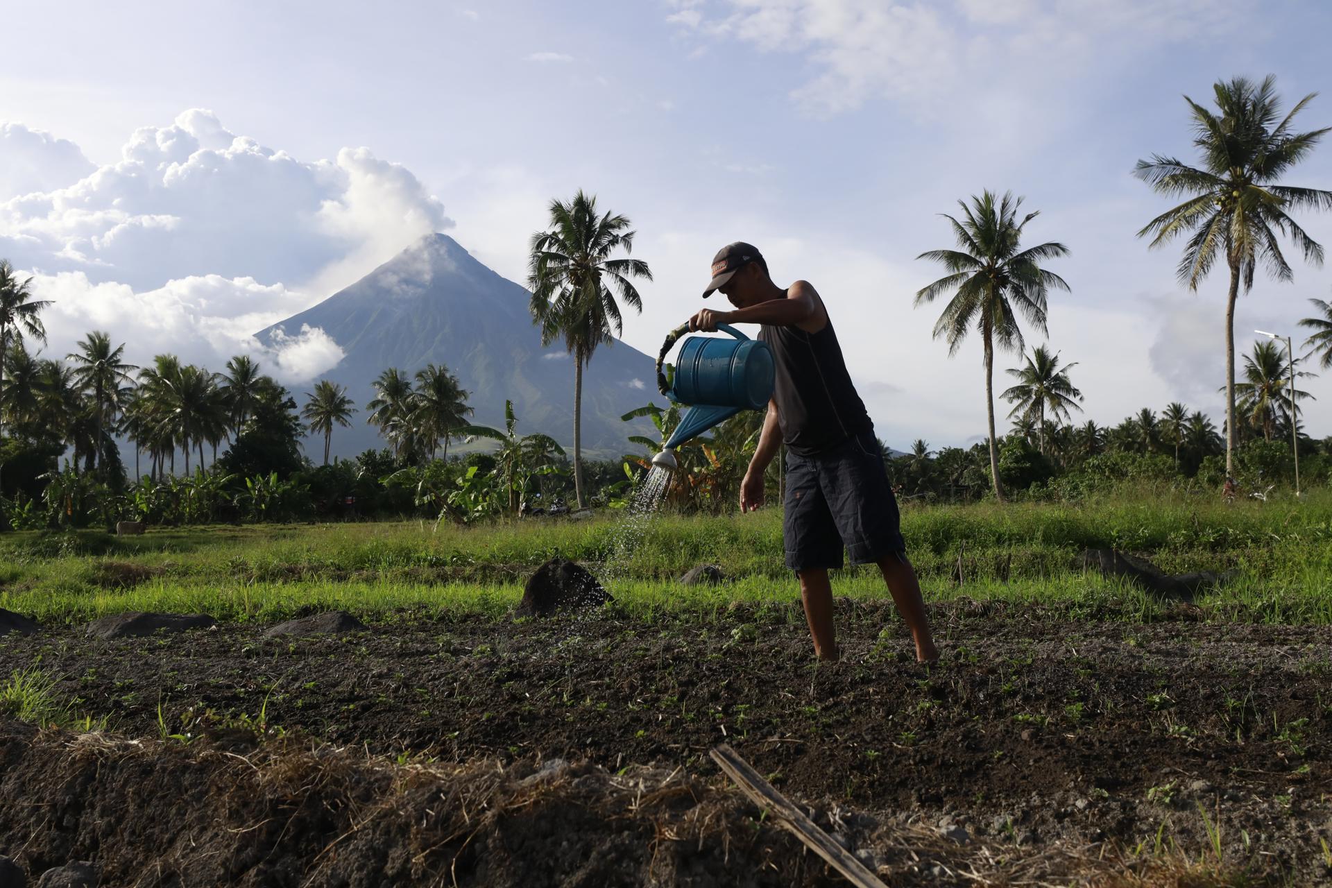 A farmer waters his field as the Mayon volcano (background) spews ashes and lava in Legaspi city, Albay province, Philippines, 15 June 2023. EFE/EPA/FRANCIS R. MALASIG