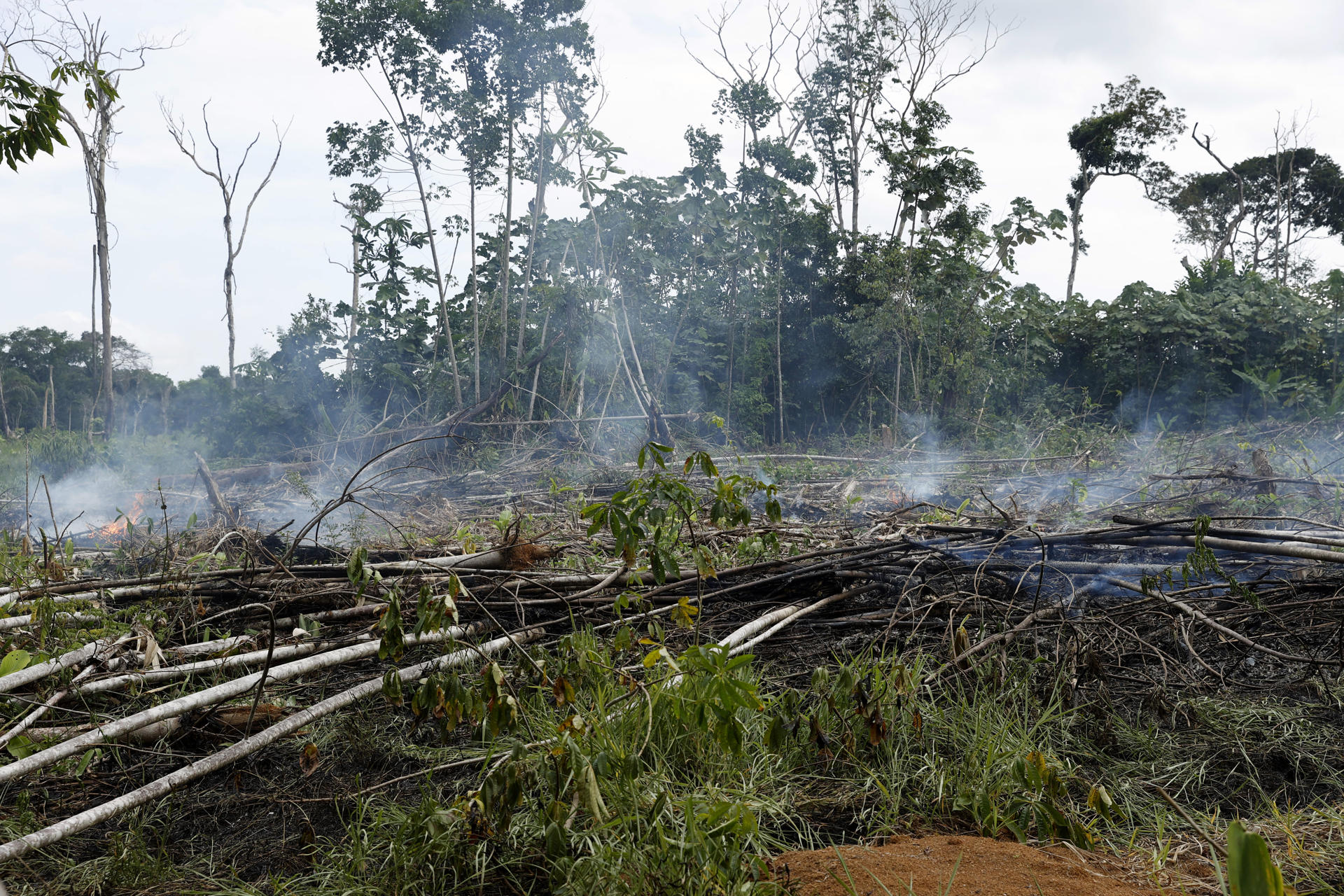 Vista de una zona deforestada en el departamento del Guaviare (Colombia), en una fotografía de archivo. EFE/Mauricio Dueñas Castañeda