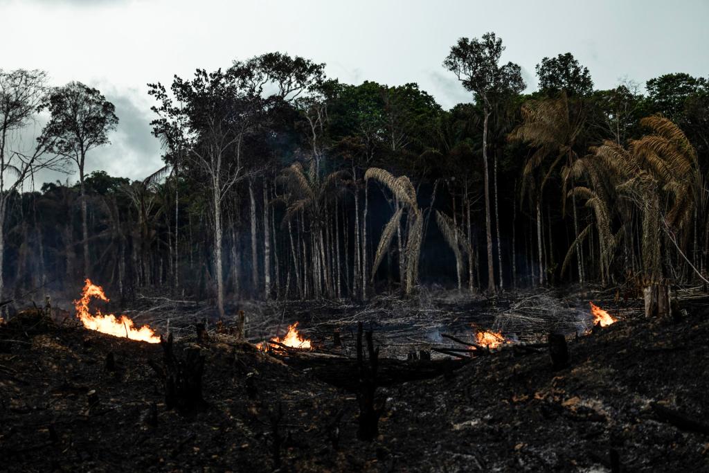 Vista de un área de la Amazonía de Brasil afectada por incendios, en una fotografía de archivo. EFE/Raphael Alves
