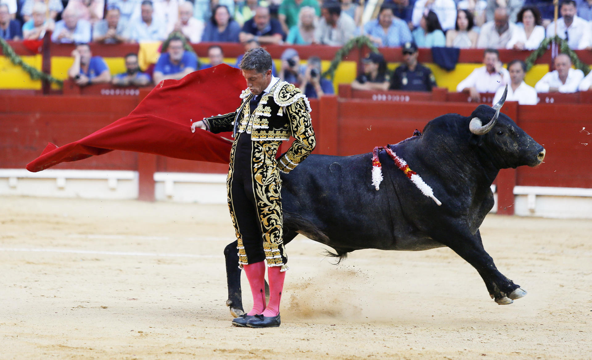 El diestro Manuel Escribano da un pase a su primer toro hoy domingo durante el festejo de la feria de Hogueras de Alicante. EFE/ Manuel Lorenzo
