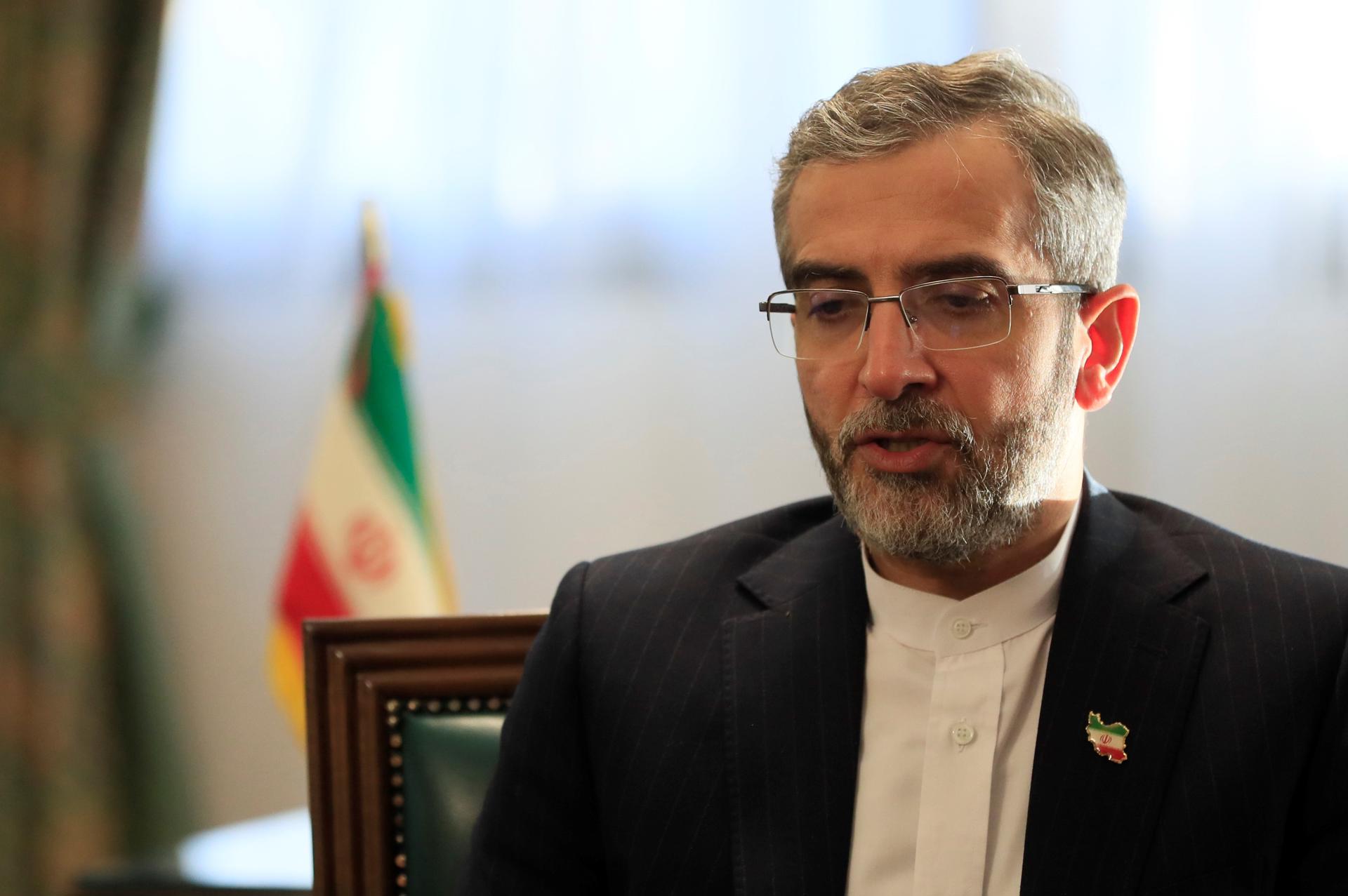 File photo of Iran's chief negotiator for the nuclear deal, Ali Bagheri Kani. EFE/Fernando Alvarado
