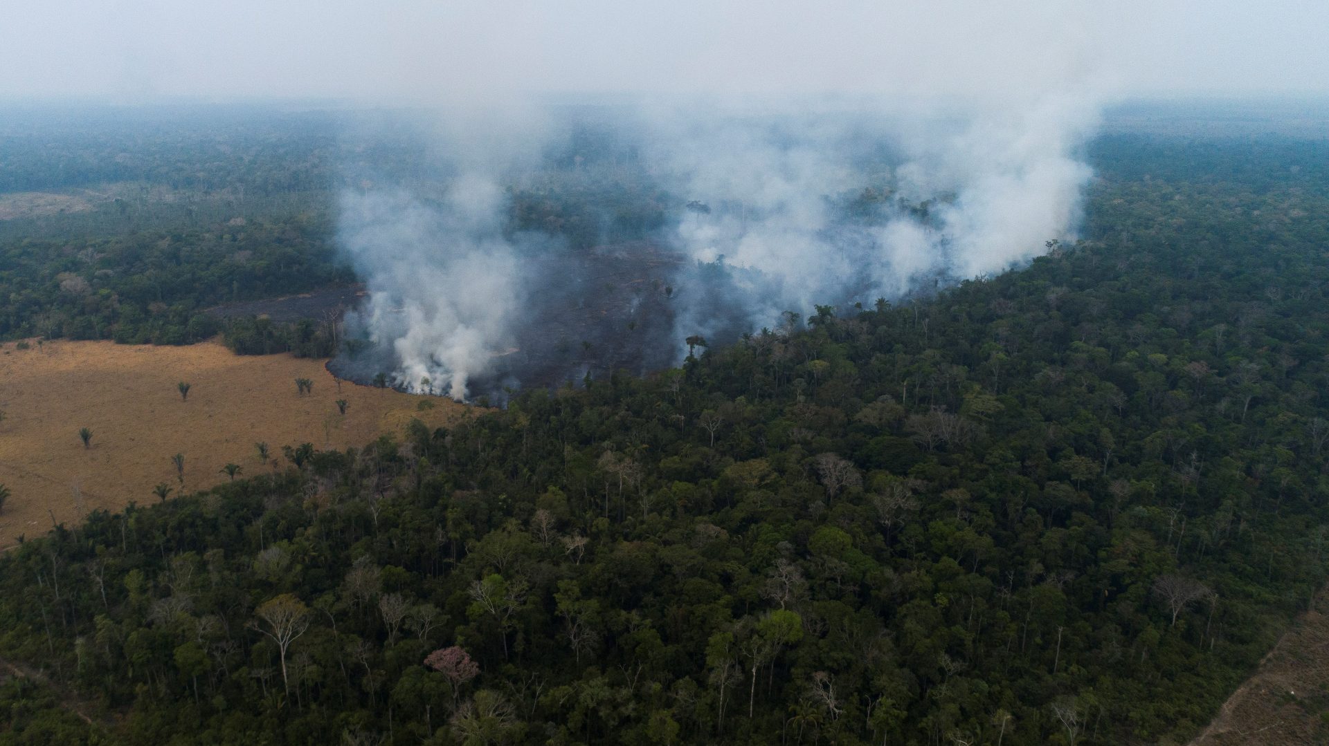 Vista aérea de los efectos de uno de los incendios, en la amazonía de Rondonia (Brasil), en una fotografía de archivo. EFE/Joédson Alves
