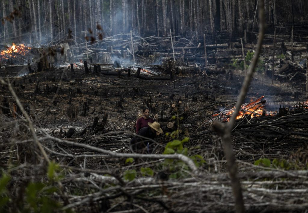 Personas prenden fuego en un área boscosa en Careiro Castanho, Amazonas (Brasil), en una fotografía de archivo. EFE/Raphael Alves