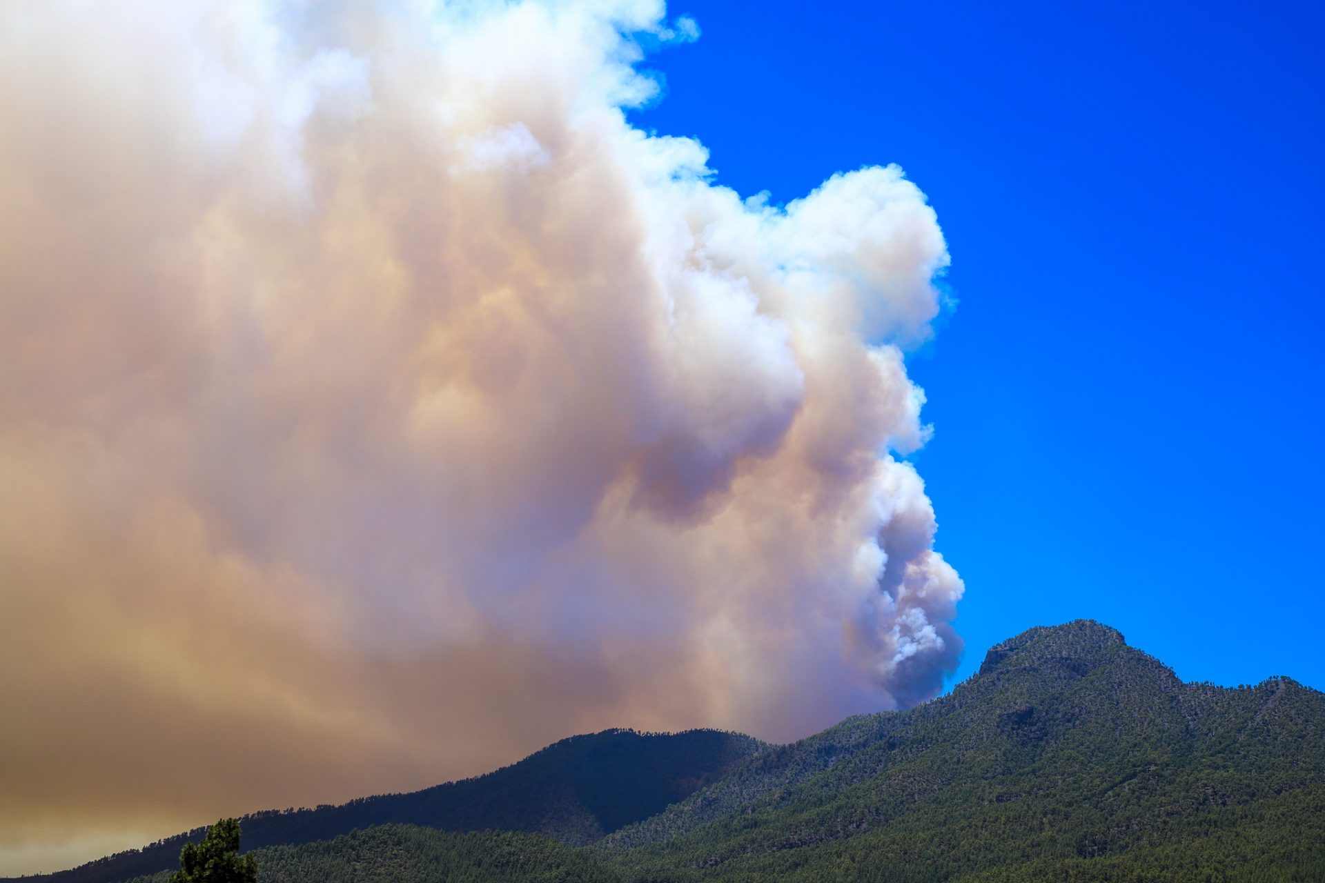 Vista desde el municipio de Los Llanos de Aridane de la columna de humo del incendio forestal declarado en Puntagorda