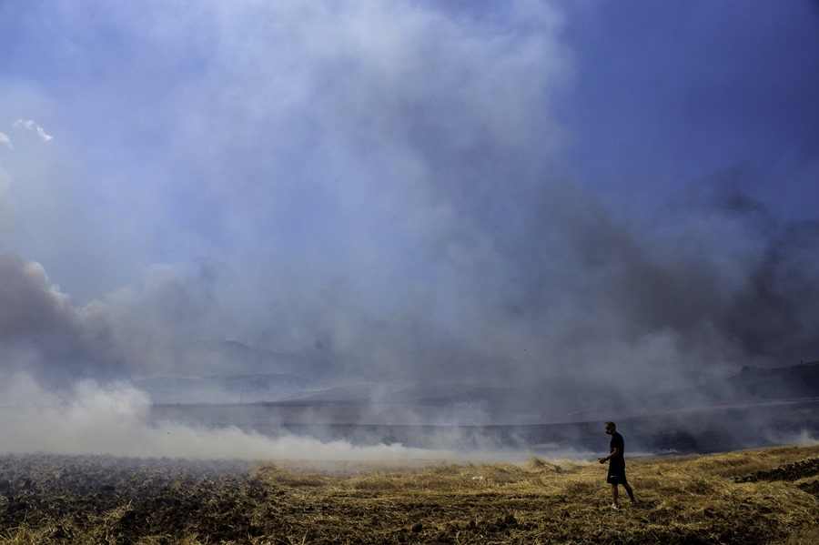 Un hombre mira los campos quemados por el incendio declarado en Velestino, Grecia.