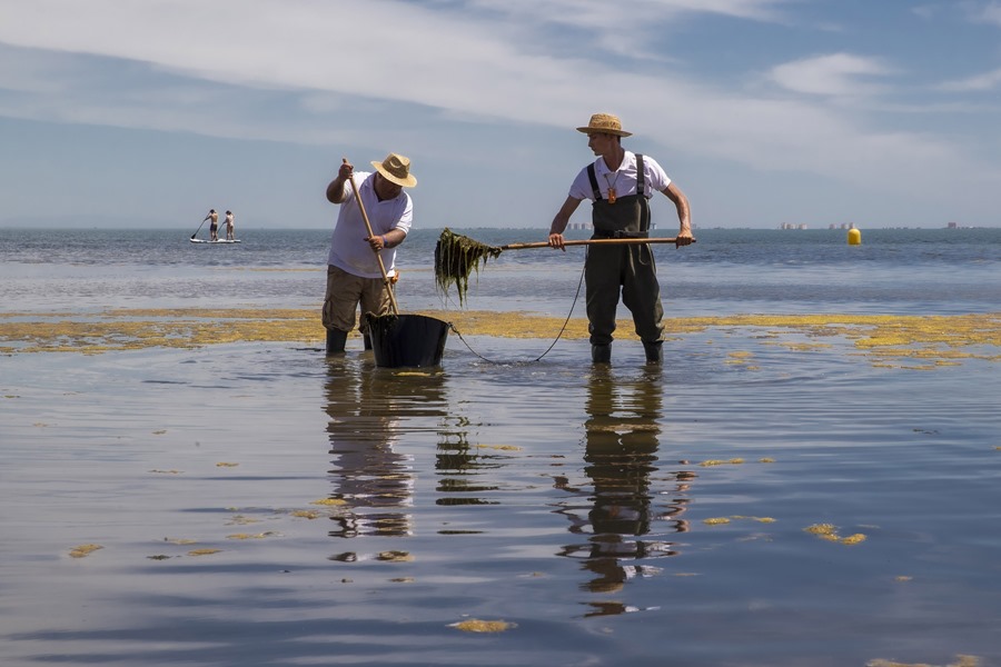 Dos trabajadores retiran algas de una playa en una imagen de archivo
