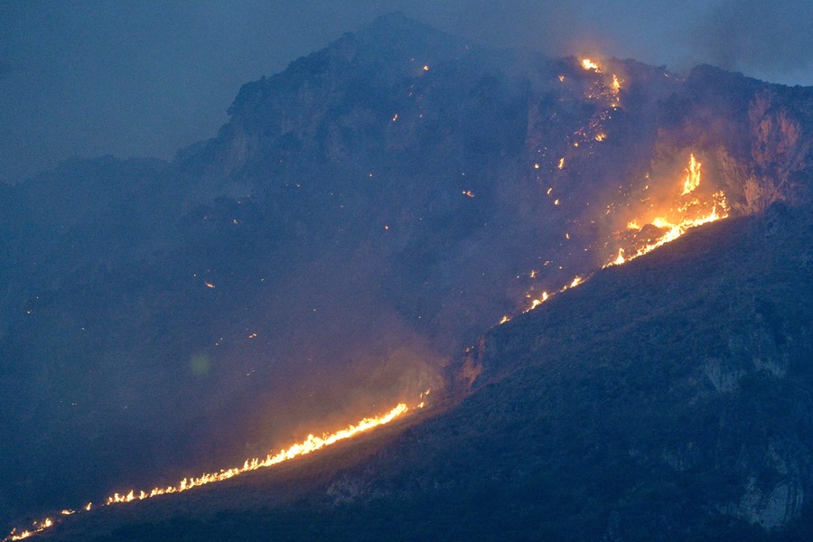 Las llamas se elevan en las colinas que rodean el área de Monte Grifone y la ciudad de Ciaculli, cerca de Palermo, Italia 