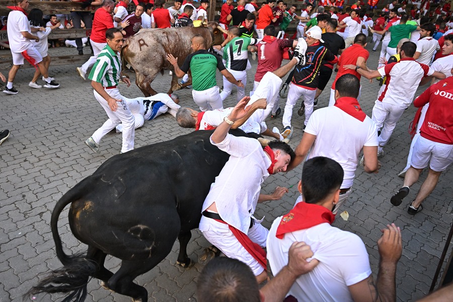 Un mozo es cogido por el toro en el séptimo encierro