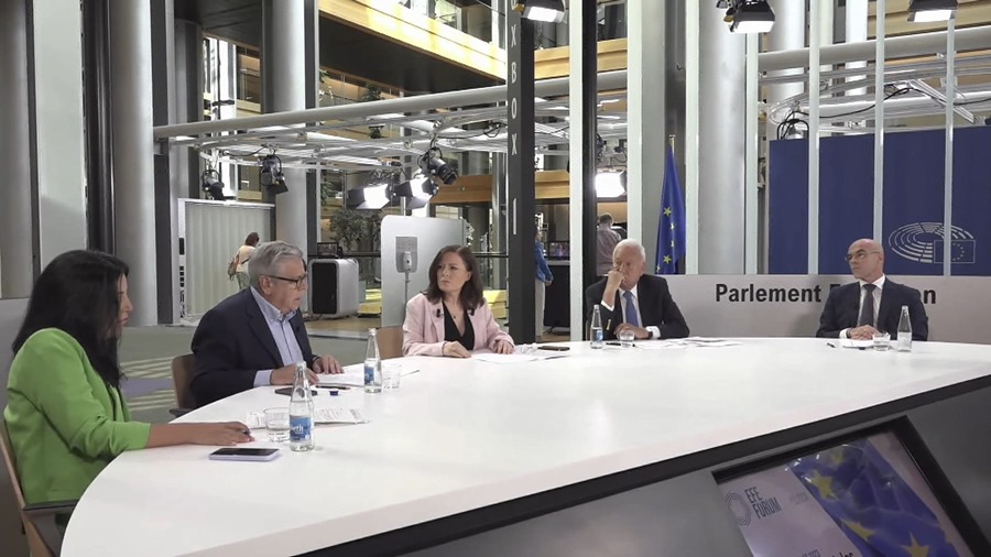Captura de video del debate de EFE celebrado en Estrasburgo. 