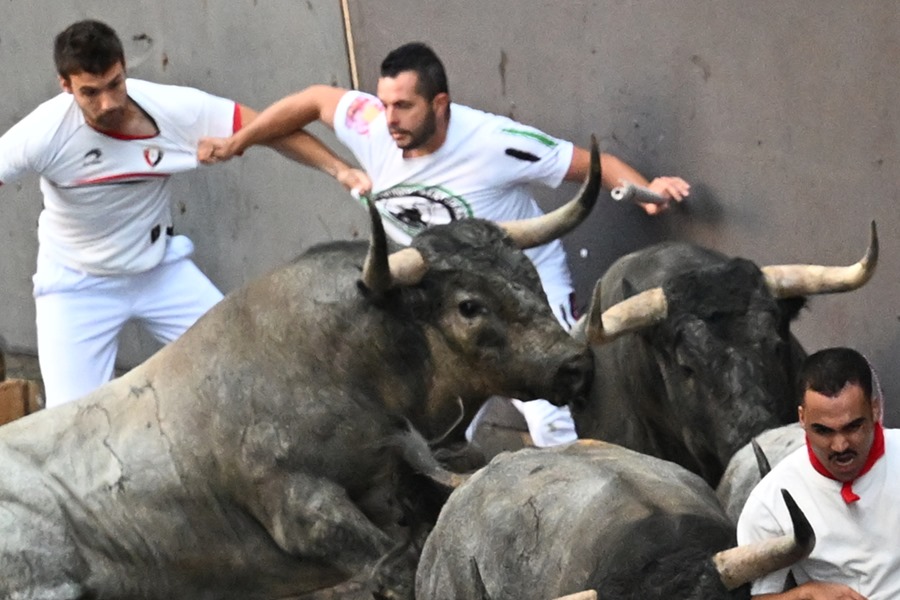 Los toros de la ganadería de José Escolar entran en la curva de Mercaderes en el segundo encierro de los Sanfermines 2023, este sábado. 