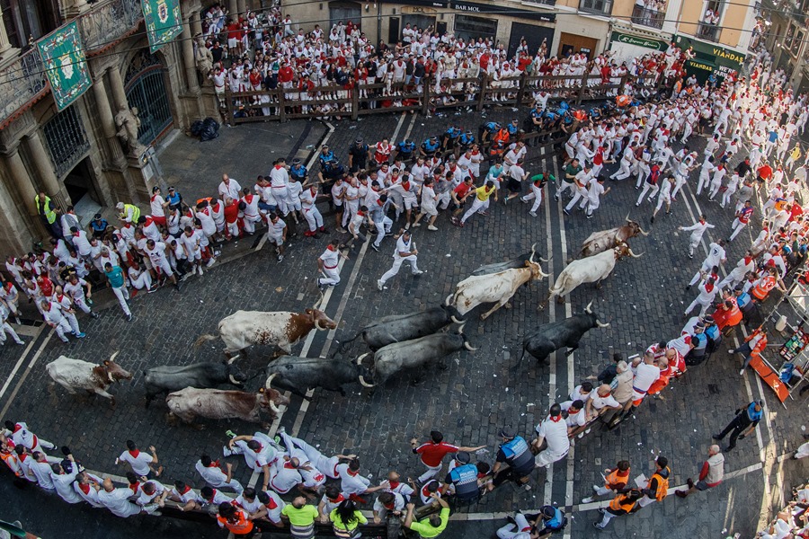 Los toros de la ganadería de José Escolar entran en la plaza del Ayuntamiento en el segundo encierro de los Sanfermines 2023, este sábado.