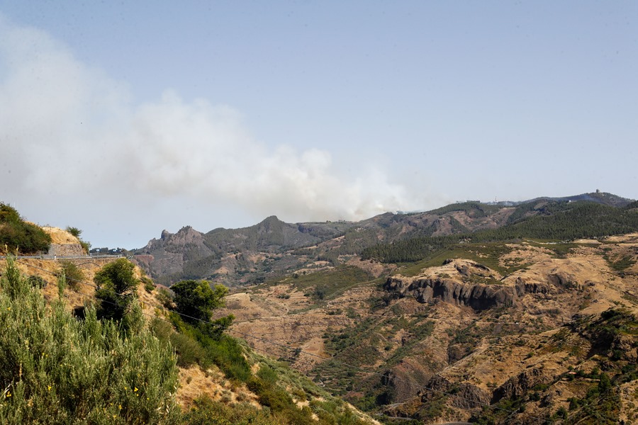 El incendio que se ha declarado este martes en la cumbre de Gran Canaria en Los Llanos de la Pez.