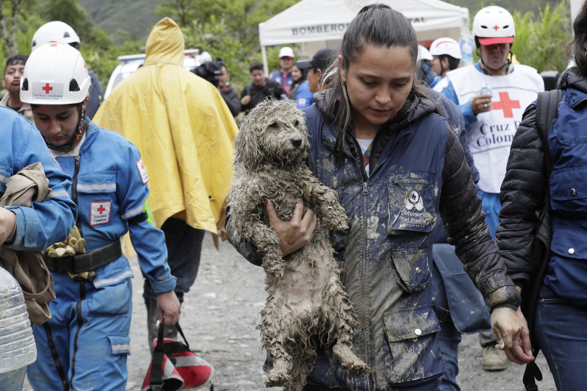 A rescuer carries a dog affected by a mudslide in Quetame, Colombia, on July 18, 2023. EFE / Carlos Ortega
