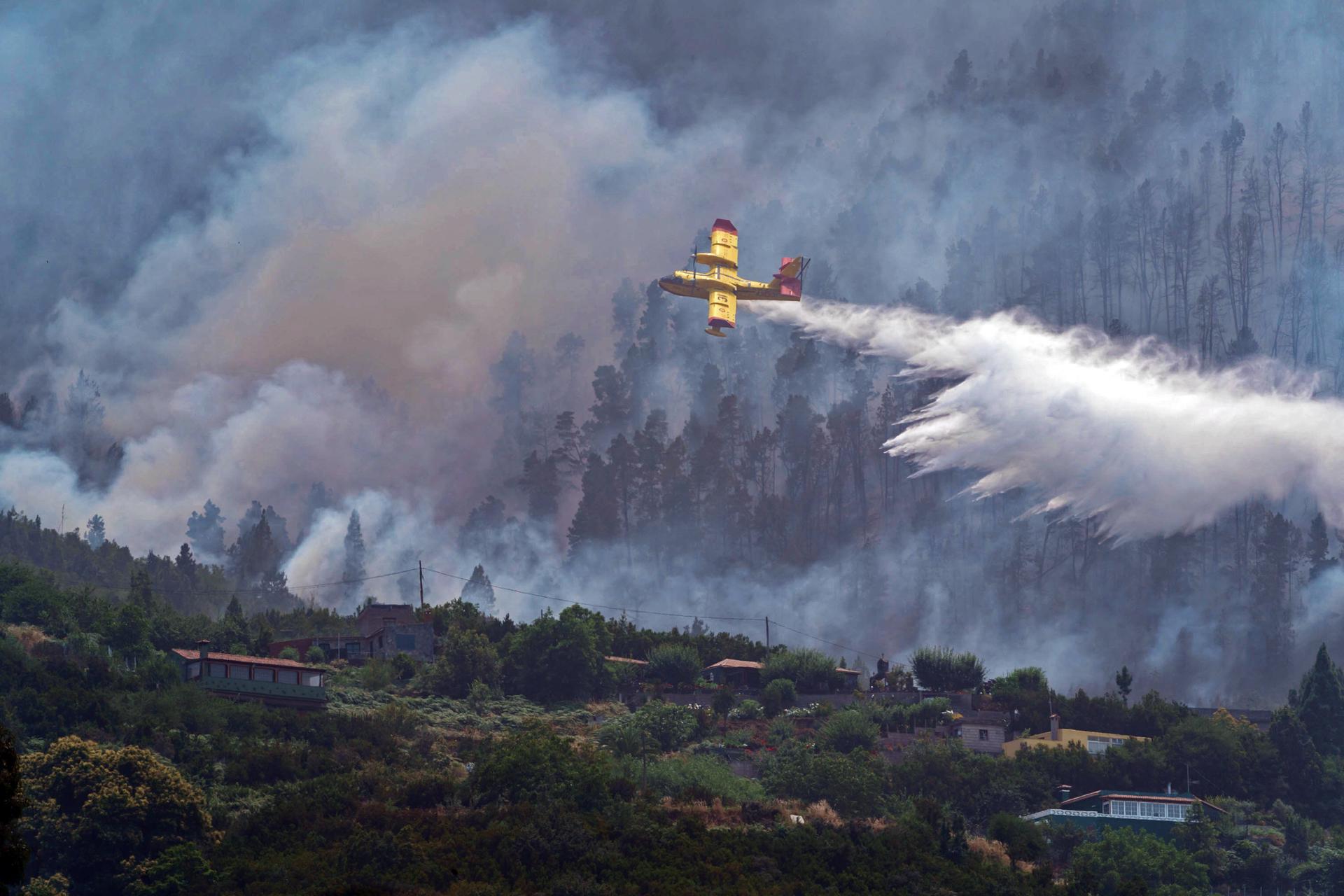 Imagen de archivo de un incendio forestal en el municipio tinerfeño de Los Realejos registrado en 2022. EFE/ Ramón De La Rocha