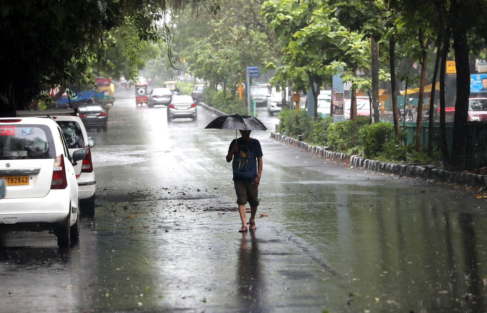 A man walks with his umbrella amid the rain in New Delhi, India, 10 July 2023. EFE-EPA/HARISH TYAGI