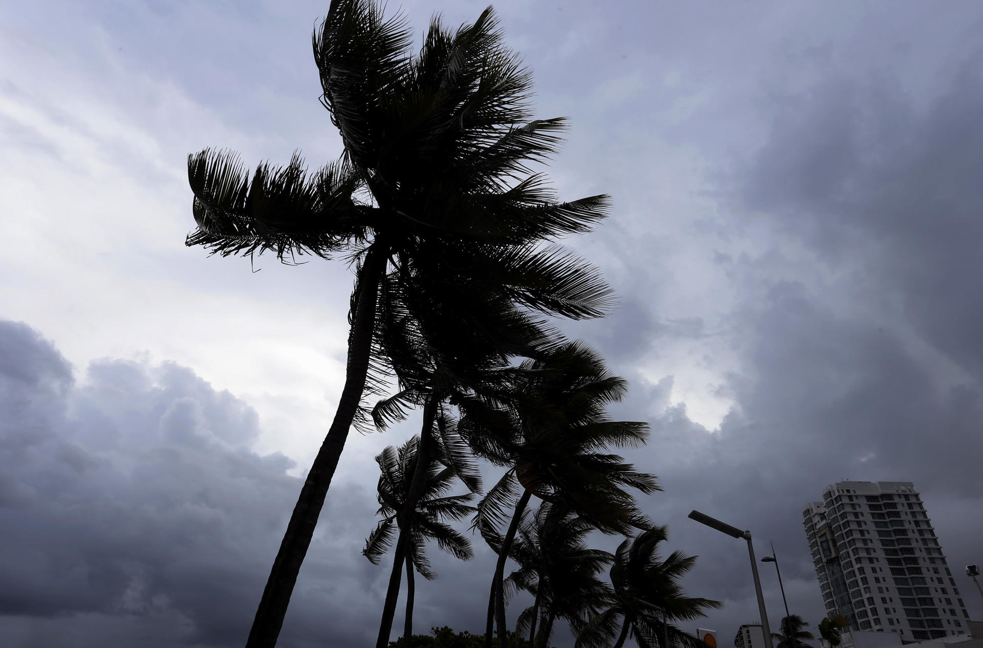 El sistema, que se formó el viernes y es la cuarta tormenta tropical de la actual temporada de huracanes en el Atlántico, presenta vientos máximos sostenidos de 45 millas por hora (75 km/h) y se ubica a 1.160 millas (1.865 km) al oeste de las islas Azores. Fotografía de archivo. EFE/Thais Llorca