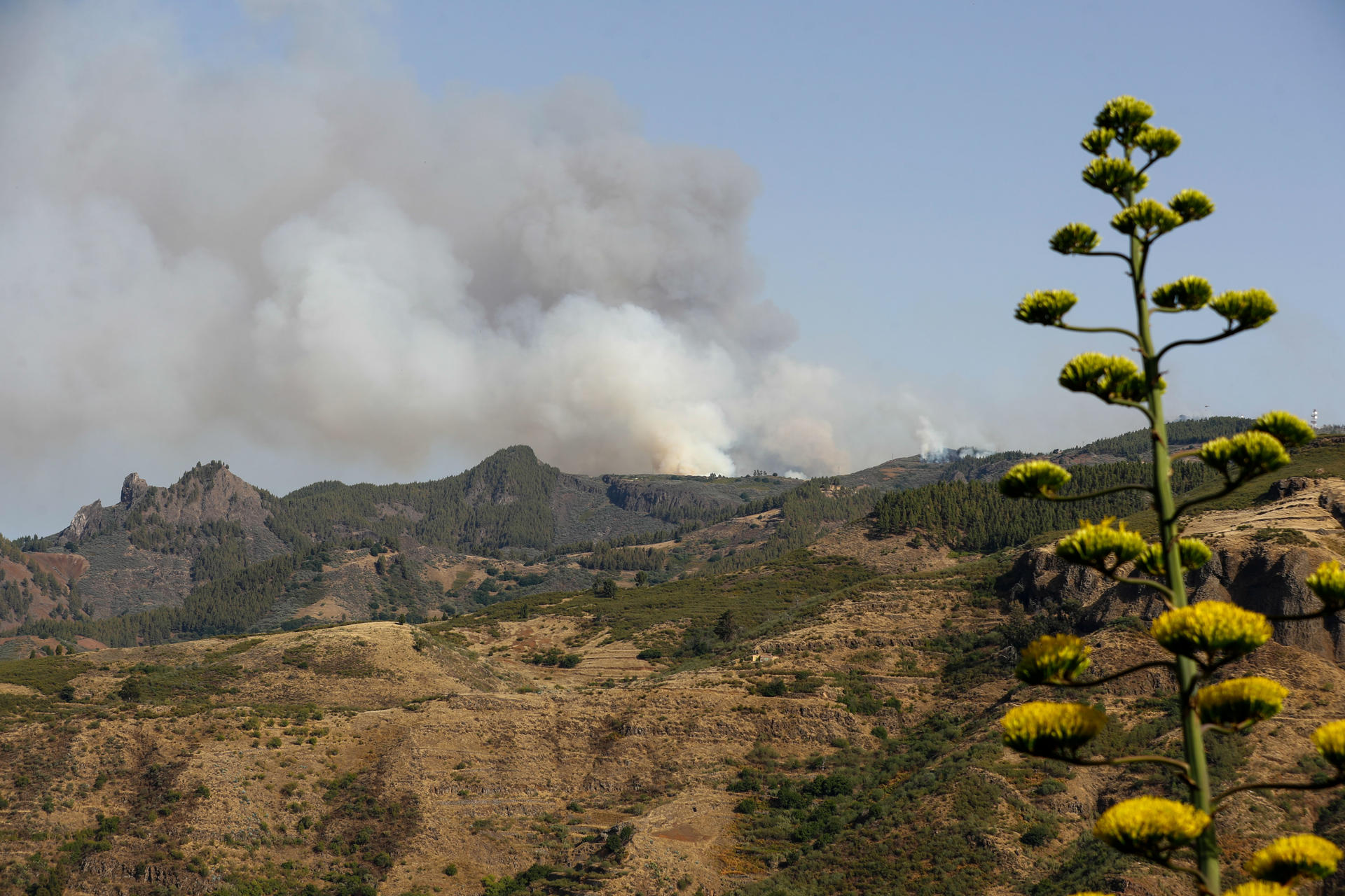 Imagen del incendio declarado este martes en la cumbre de Gran Canaria. EFE/ Elvira Urquijo A.