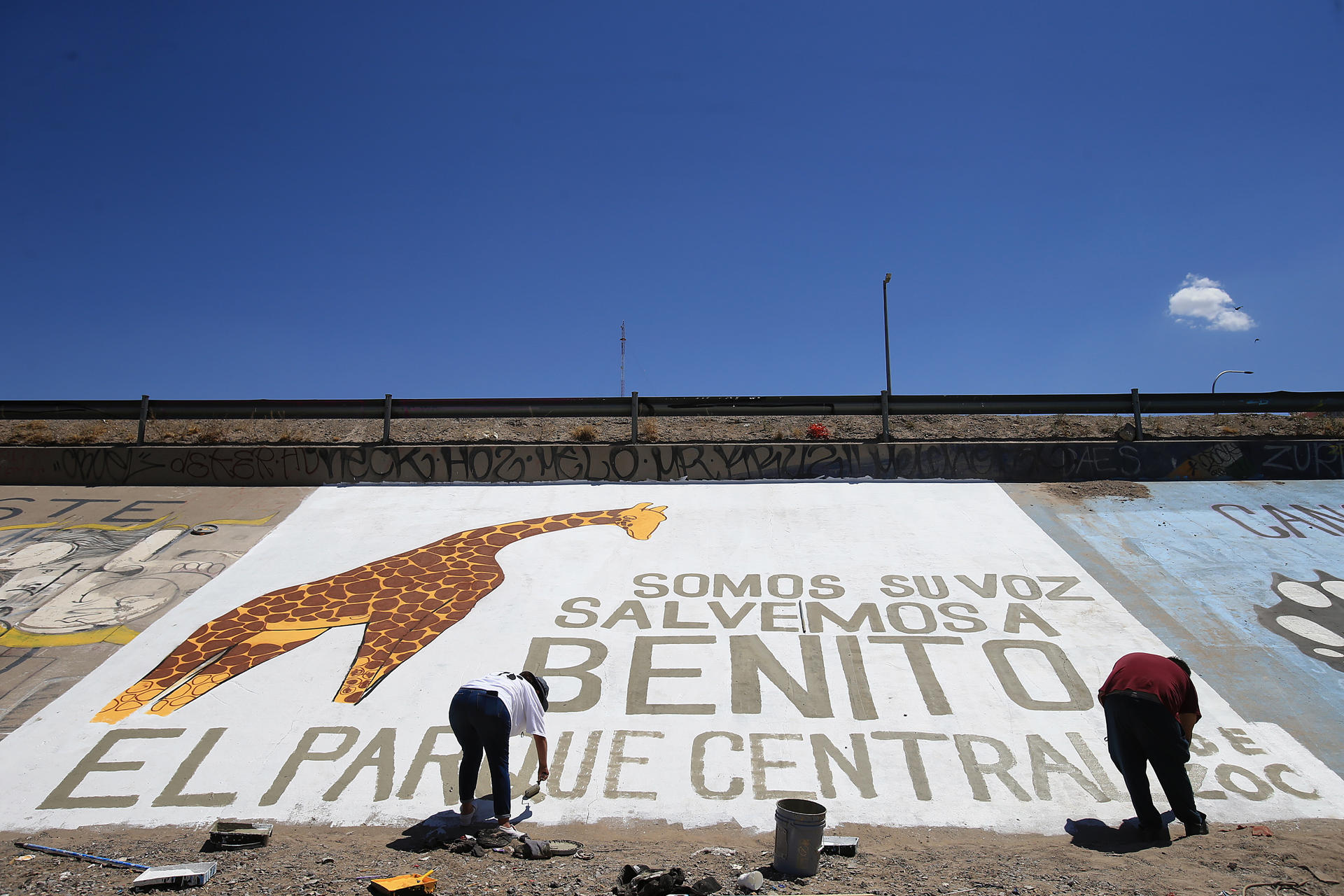 Activists paint a protest mural on 4 July 2023 to demand better living conditions for Benito, a male giraffe that lives at the Central Park in Ciudad Juarez, Mexico. EFE/Luis Torres
