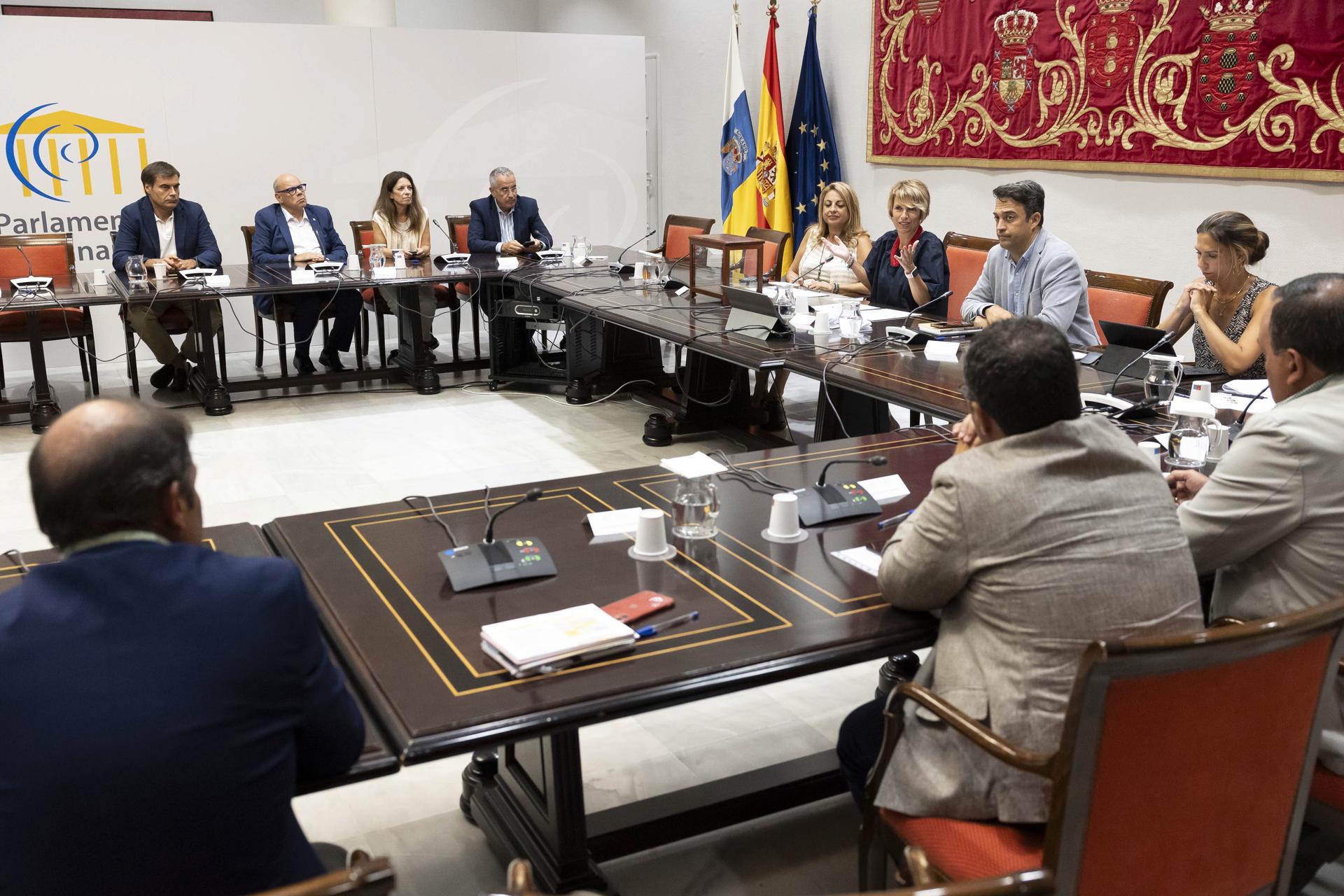 Constitución de la nueva Comisión de Universidades, Ciencia e Innovación y Cultura del Parlamento de Canarias. EFE/Miguel Barreto