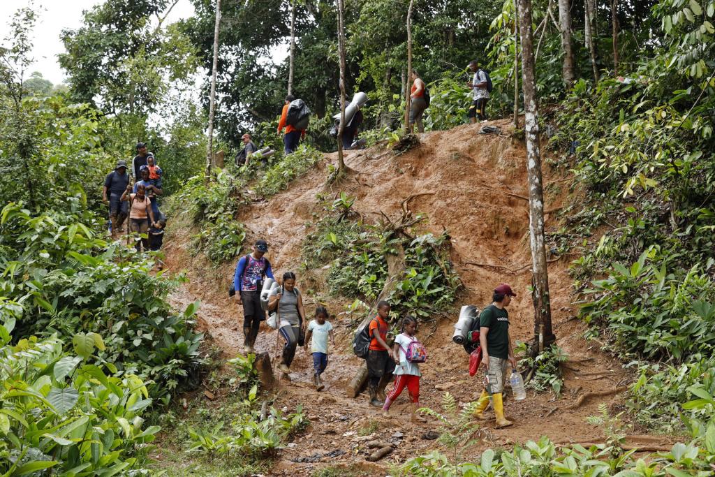 Migrantes venezolanos suben una montaña con la intención de llegar a Panamá en el Tapón del Darién (Colombia). EFE/Mauricio Dueñas Castañeda
