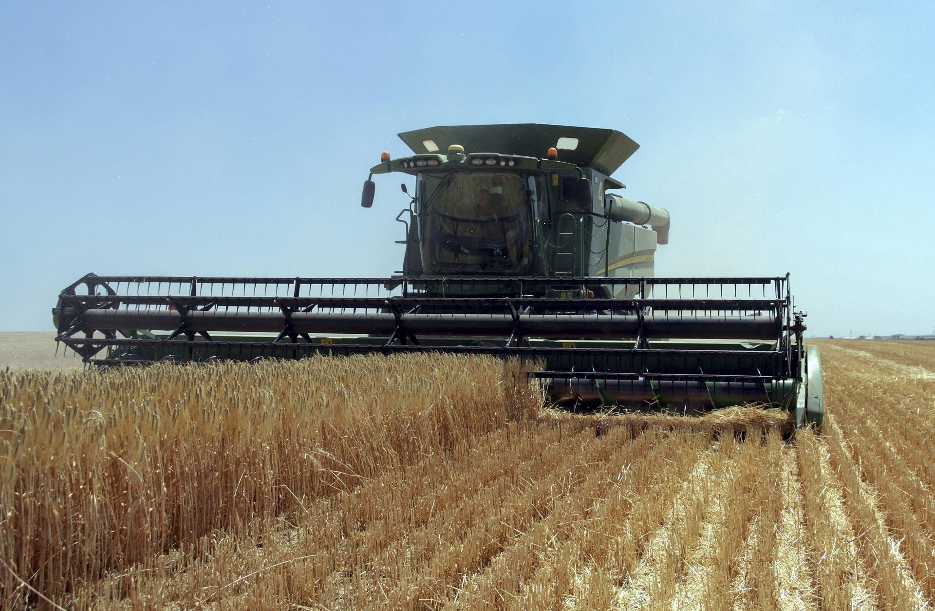 Ukrainian farmers harvest grain in the Odessa region, south Ukraine, 23 June 2023. EFE/EPA/FILE/IGOR TKACHENKO